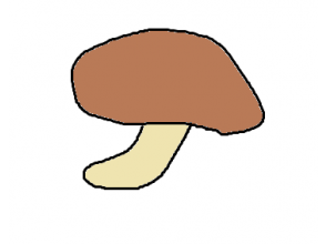 プランの魅力 蘑菇 の画像