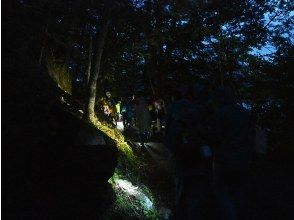 プランの魅力 夜でも安心！ の画像