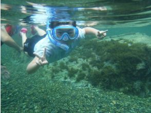 プランの魅力 透明でキレイな海であそぼう！ の画像