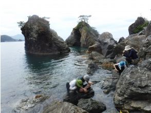 プランの魅力 釣り体験もあります！ の画像