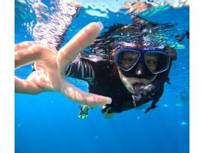 プランの魅力 海遊びが楽々！ の画像