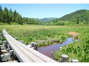 プランの魅力 春から秋まで楽しめます！ の画像