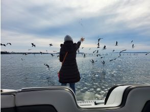 プランの魅力 ★☆大人気ゆりカモメの餌付け体験☆★ の画像