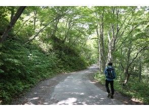 プランの魅力 Refresh your mind and body! の画像
