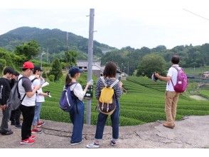 プランの魅力 Tea plantation walking の画像