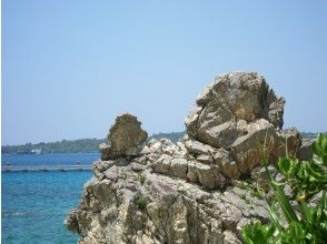 プランの魅力 大猩猩印章的起源 の画像