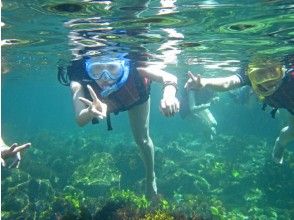 プランの魅力 การดำน้ำตื้น(Snorkeling) の画像