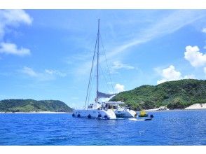 プランの魅力 Sky & Sea 50ft catamaran の画像