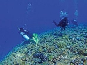 プランの魅力 从经验潜水到爱好者潜水 の画像