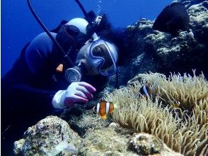 プランの魅力 您可以在附近看到Nemo。 の画像