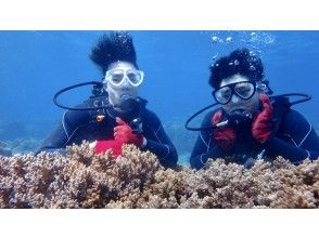 プランの魅力 Commemorative photo underwater の画像