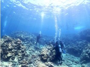 プランの魅力  の画像