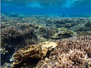 プランの魅力 水槽の中のような世界！ の画像