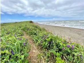 プランの魅力 海辺沿いのトレイル の画像