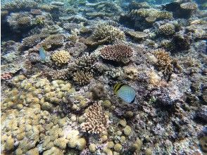 プランの魅力  の画像