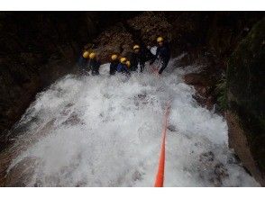 プランの魅力 rope! の画像