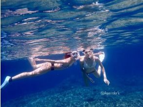 プランの魅力 暖かい海で遊びましょう！ の画像