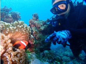 プランの魅力 どんな魚が見えるかな？ の画像