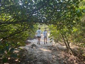 プランの魅力 マングローブの密林へ の画像