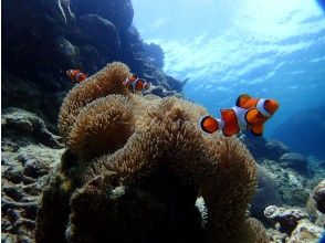 プランの魅力 気持ちいいい～♪ の画像