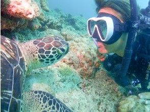 プランの魅力 ウミガメに大接近! の画像