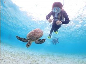 プランの魅力 シュノーケリングも楽しめる! の画像