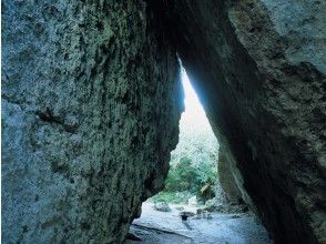 プランの魅力 世界文化遺產Sefa Utaki の画像