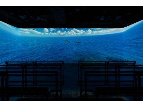 プランの魅力 DMMかりゆし水族館 の画像