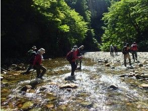 プランの魅力 通常はクローズ しているトレイルを行き渓流を歩く の画像