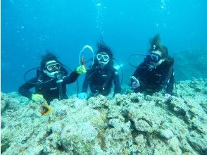 プランの魅力 일발 재주의 버블 링에 감동 ♪ の画像