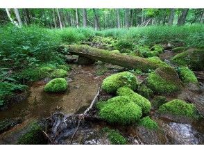 プランの魅力 リラクゼーション の画像