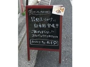 プランの魅力 Insect food specialty store の画像