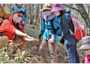 プランの魅力 登山や自然、奥日光のあれこれを解説します の画像