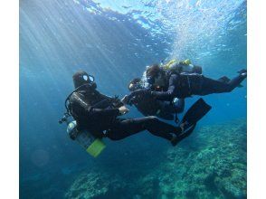プランの魅力  の画像