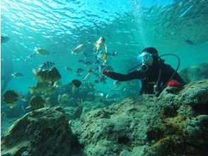 プランの魅力 熱帯魚と一緒に記念撮影(^^♪ の画像