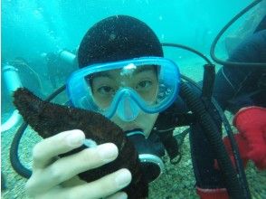 プランの魅力 海は楽しいがいっぱい！！ の画像