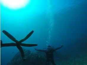 プランの魅力 ゲストさんとヒトデ の画像