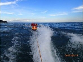 プランの魅力 土佐湾 の画像