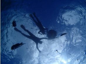 プランの魅力 海最高！ の画像