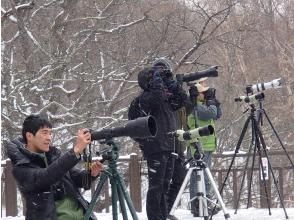 プランの魅力 オリジナル野鳥図鑑をプレゼント! の画像