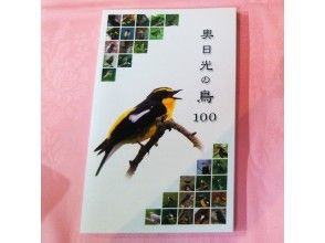 プランの魅力 オリジナル野鳥図鑑をプレゼント! の画像