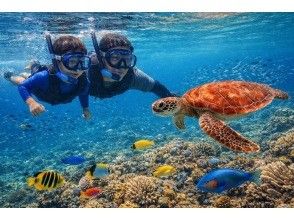 プランの魅力 シュノーケル体験 の画像