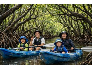 プランの魅力 マングローブカヤック体験 の画像