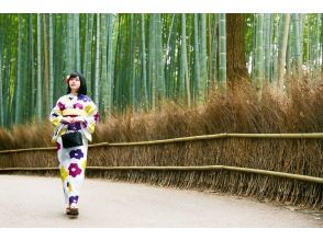 プランの魅力 In the bamboo grove of Arashiyama ♪ の画像