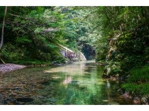 プランの魅力  の画像