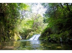 プランの魅力  の画像