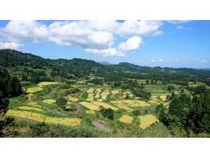 プランの魅力 Rice terraces at Hoshitoge, one of the most famous rice terraces in Japan の画像