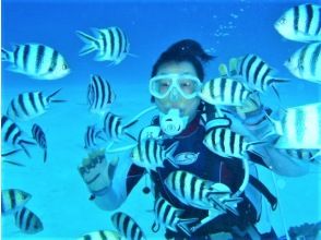 プランの魅力 お魚いっぱい! の画像