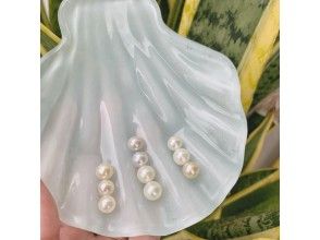プランの魅力 貝を開けてみるまでのお楽しみ♪ の画像