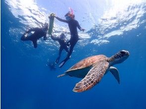 プランの魅力 Get up close to sea turtles with snorkeling! の画像